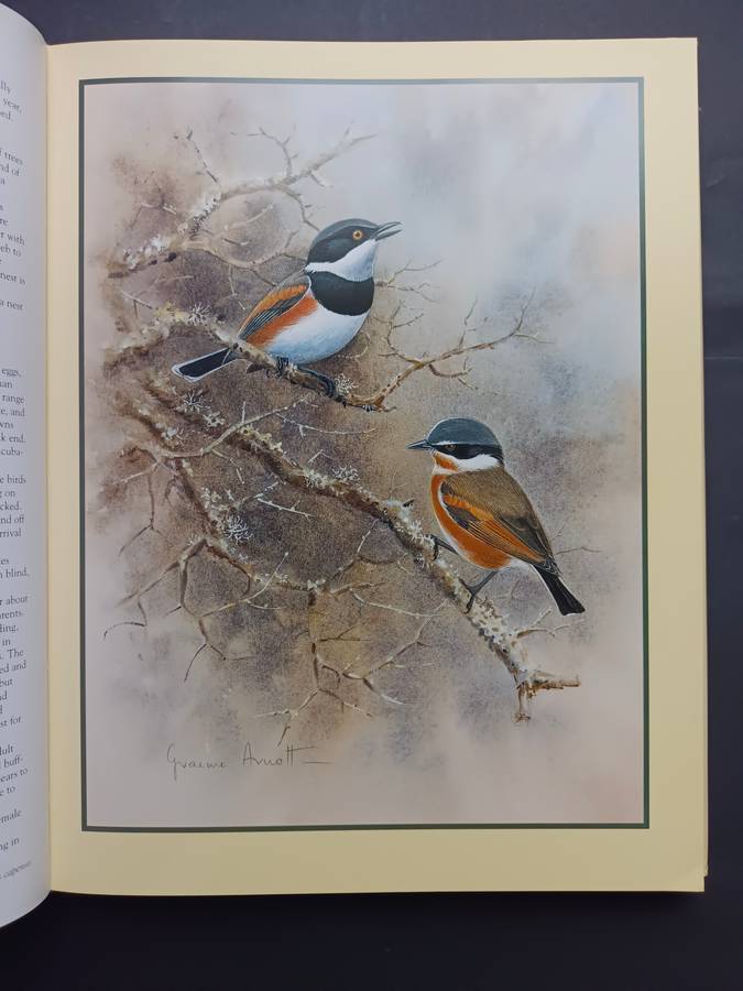 Shrikes of Southern Africa /Tony Harris & Graeme Arnott