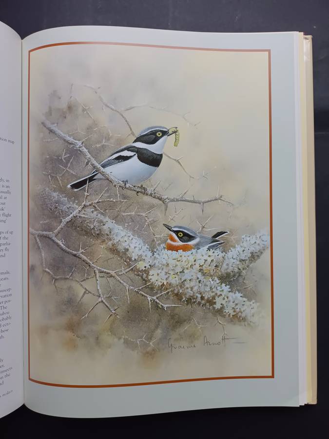 Shrikes of Southern Africa /Tony Harris & Graeme Arnott