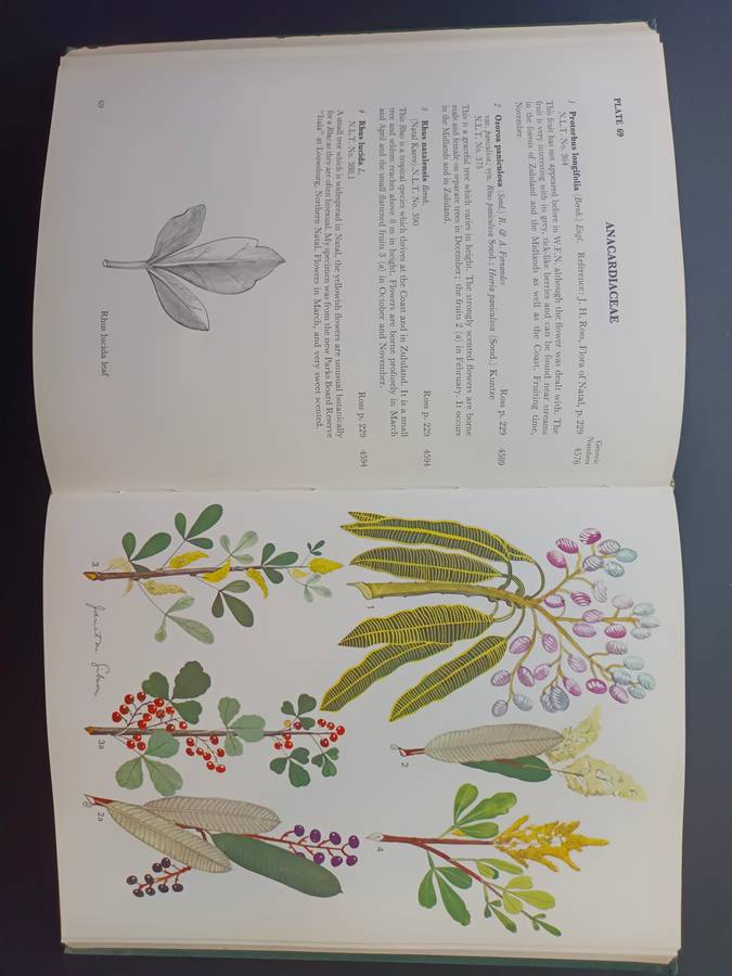 Wild Flowers of Natal ( Inland Region) / Jant M Gibson (Signed & Limited Edition)