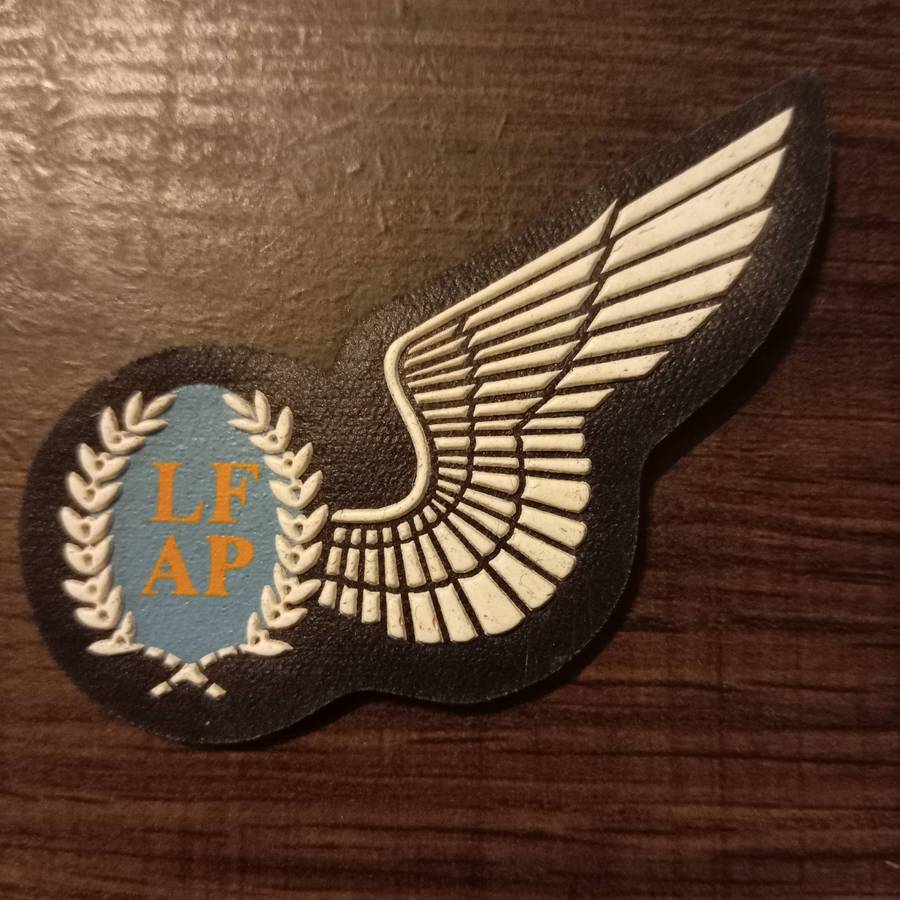 SADF, AIR FORCE AIR PHOTOGRAPHER HALF WING BADGE
