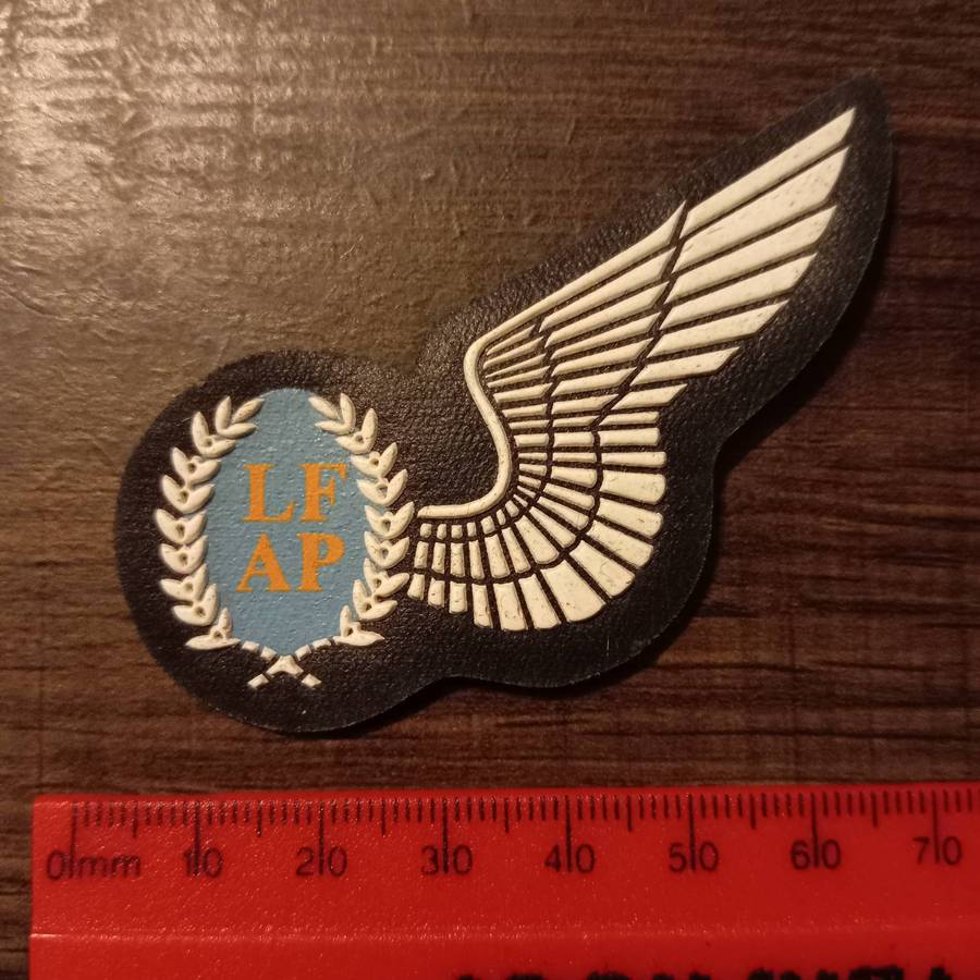 SADF, AIR FORCE AIR PHOTOGRAPHER HALF WING BADGE