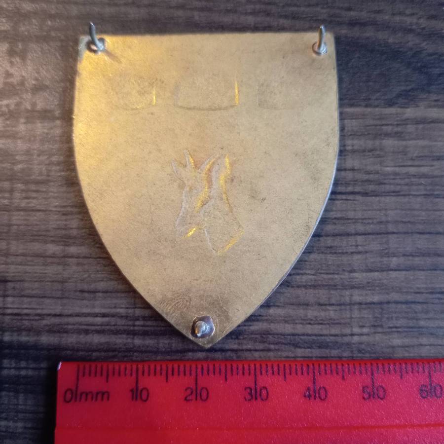 SADF, SA ARMY WITWATERSRAND COMMAND ARM FLASH