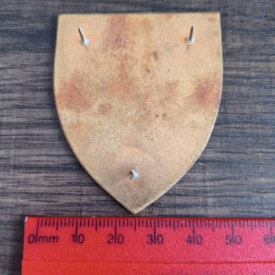 SADF, SA ARMY 7 INFANTRY DIVISION ARM FLASH