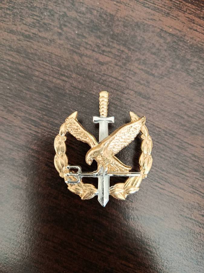 SAPS, SPECIAL TASK FORCE - 2ND TYPE OPERATOR BADGE