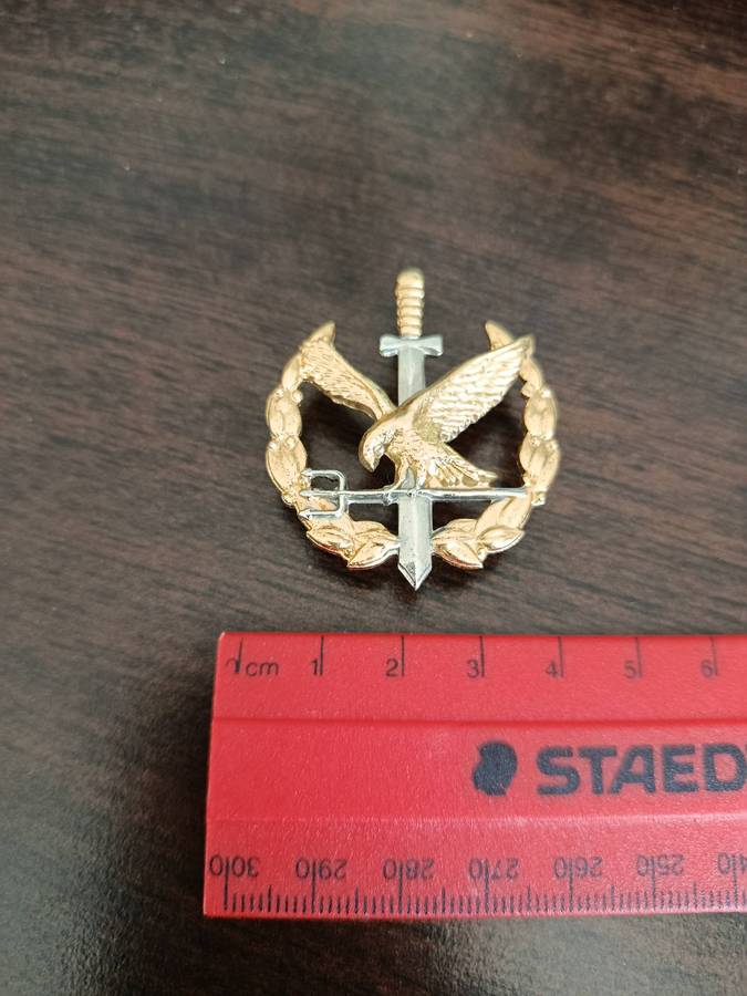 SAPS, SPECIAL TASK FORCE - 2ND TYPE OPERATOR BADGE