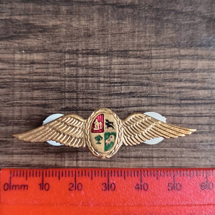 SADF, SA AIR FORCE PILOT GOLD METAL WINGS