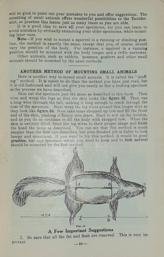 * 1914 * Lessons in Taxidermy - J.W. Elwood (Signed)