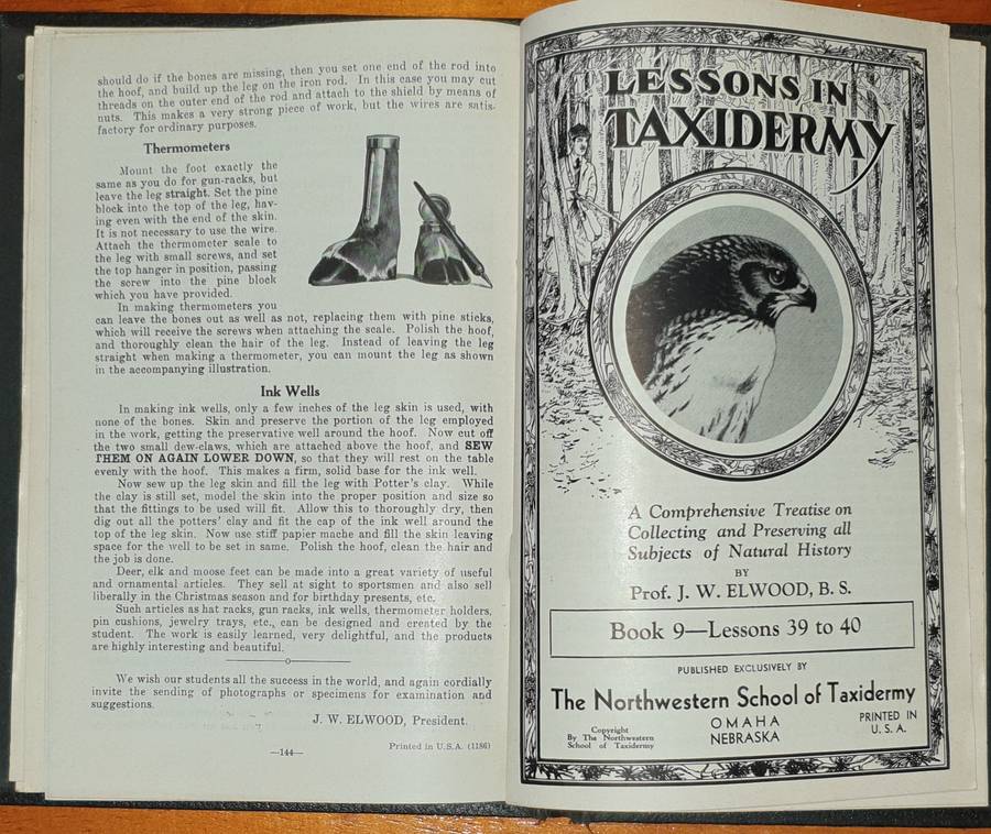 * 1914 * Lessons in Taxidermy - J.W. Elwood (Signed)