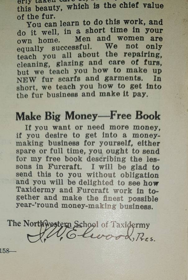 * 1914 * Lessons in Taxidermy - J.W. Elwood (Signed)