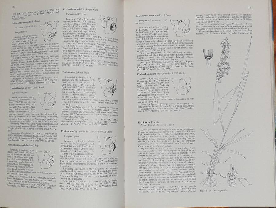Grasses of Southern Africa - Ed. O.A. Leistner