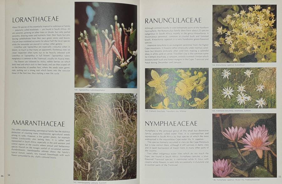 Wild Flowers of Southern Africa - The National Botanic Gardens of South Africa