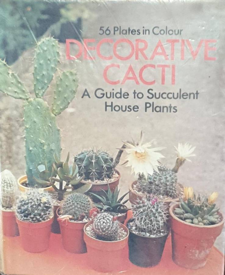 Decorative Cacti - A Guide to Succulant House Plants