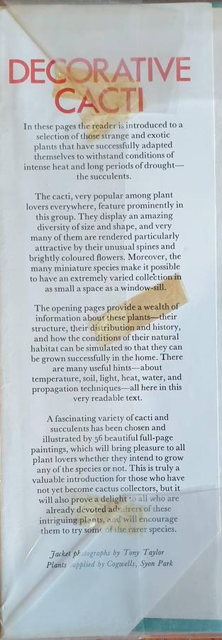 Decorative Cacti - A Guide to Succulant House Plants