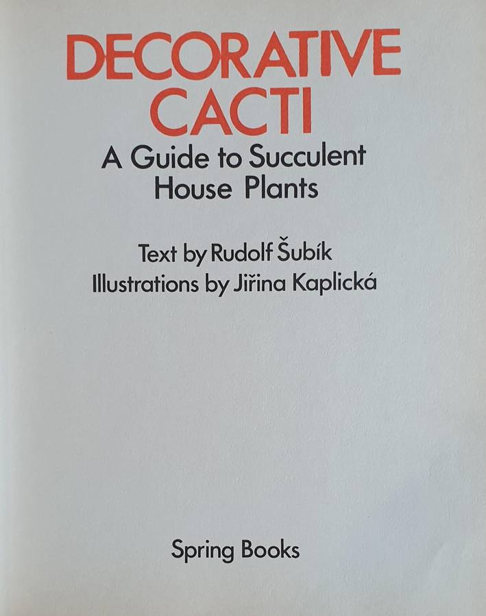 Decorative Cacti - A Guide to Succulant House Plants