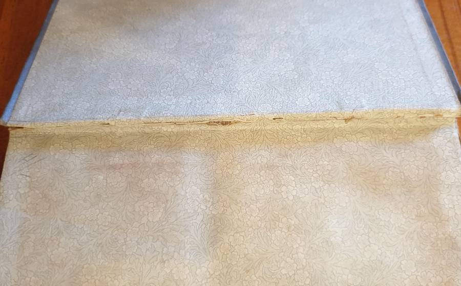 * 1894 * Renshaw Fannings Quest - A Tale of the High Veldt (Bertram Mitford)