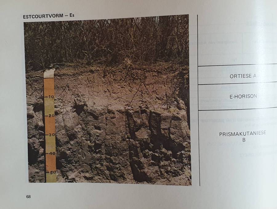 GRONDKLASSIFIKASIE - 'n Binomiese Sisteem vir Suid Afrika