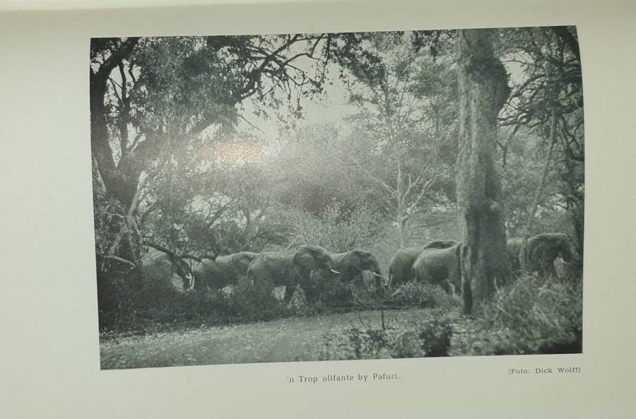 1ste Druk 1949 - Die Laeveld, sy Natuurlewe en sy Mense (Luit.Kol. J. Stevenson-Hamilton)