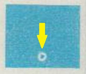 1976 RSA Erich Mayer Control block with scarce variety in MNH-condition