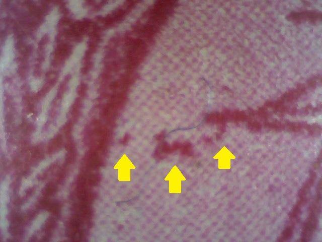 1949 Hyphenated & Screened Definitive 1d-coil pair with variety in MNH-condition