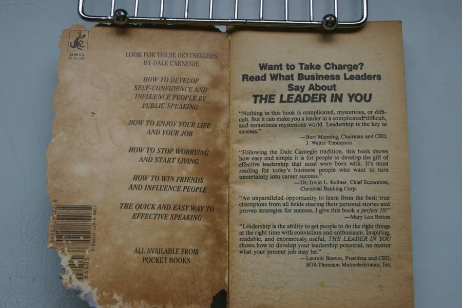 The Leader in You - How to win friends, influence people and succeed in a changing world.