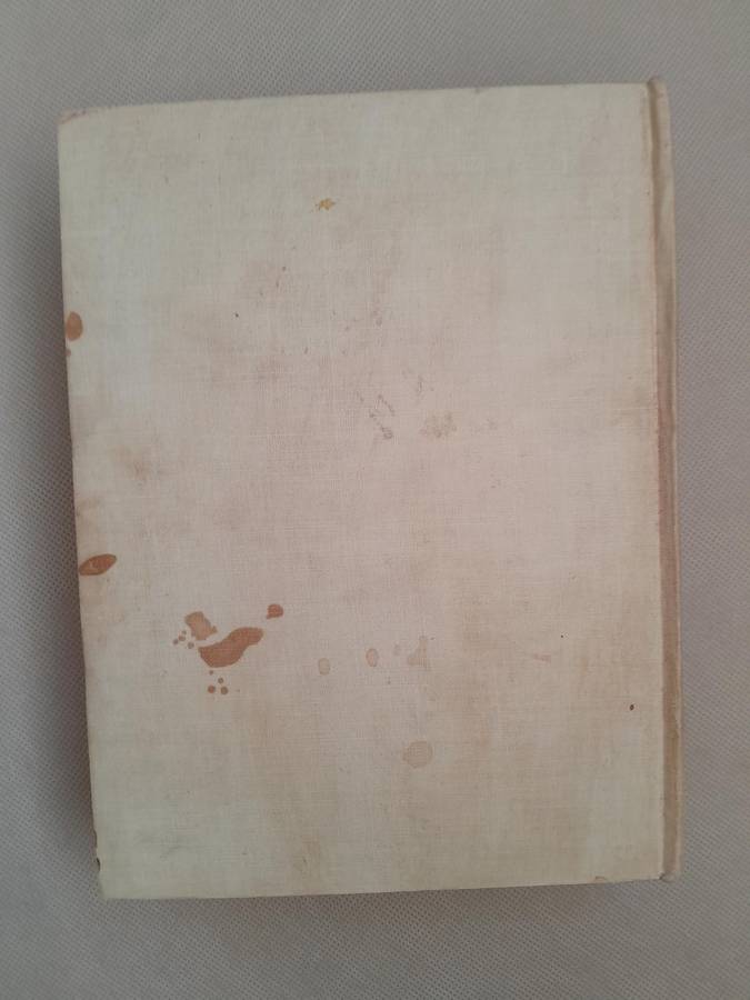 Sir Walter Raleigh - John Buchan