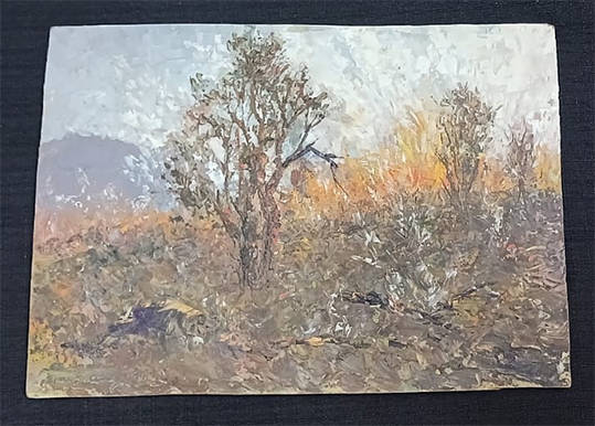 Oil Painting on Hard Board of Veld Fire Near De Wildt - Signed
