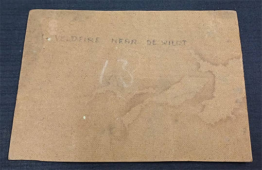 Oil Painting on Hard Board of Veld Fire Near De Wildt - Signed