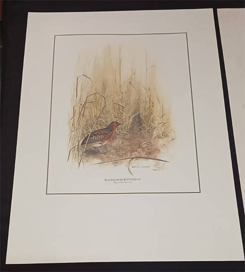 Set of 4 Geoffrey Lockwood Lithographic Prints
