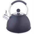 Black Gas stove top Whistle kettle