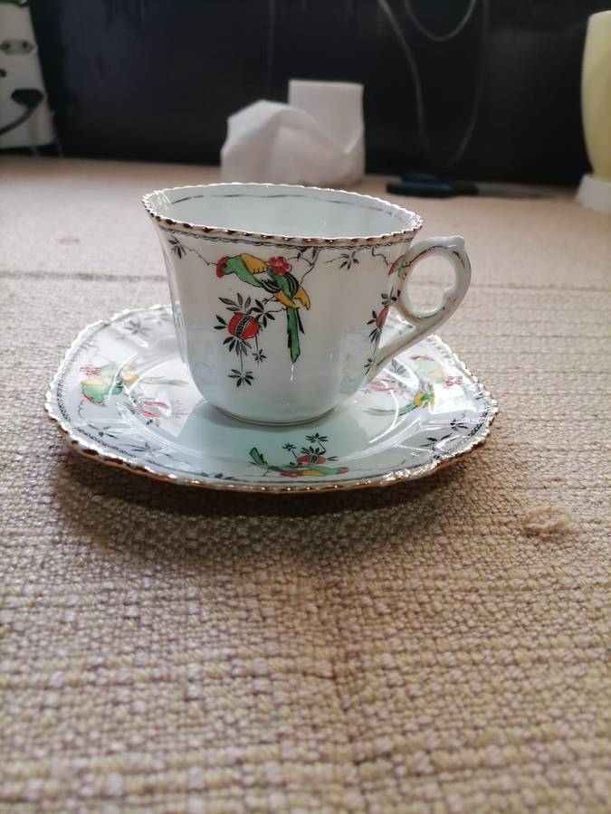 CHARMING c1912s PHOENIX CHINA THOMAS FORESTER DUO (SIDE PLATE AND TEACUP)