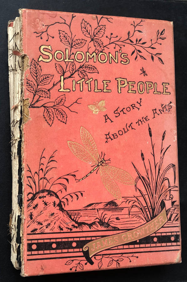 Solomon's Little People by James Crowther