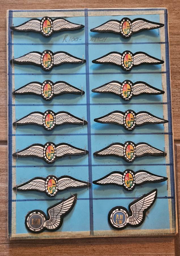 Air Force Pilot Wings
