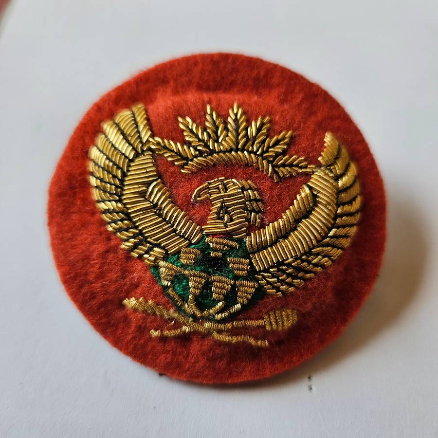 SANDF army beret badge