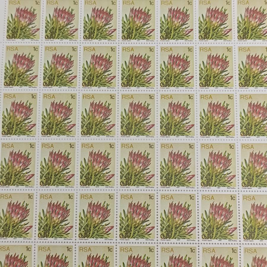 1977 South Africa Full page of 1 cent stamps - protea unmounted mint