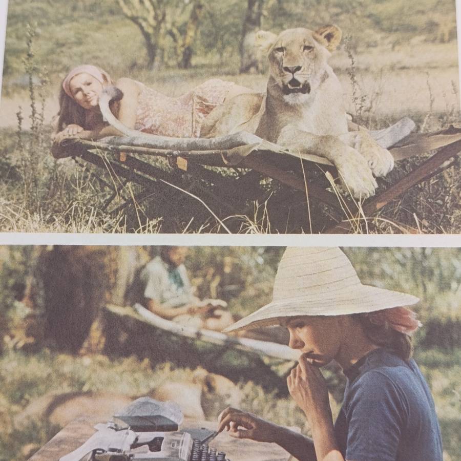 Original Columbia pictures brachure for the film Living Free