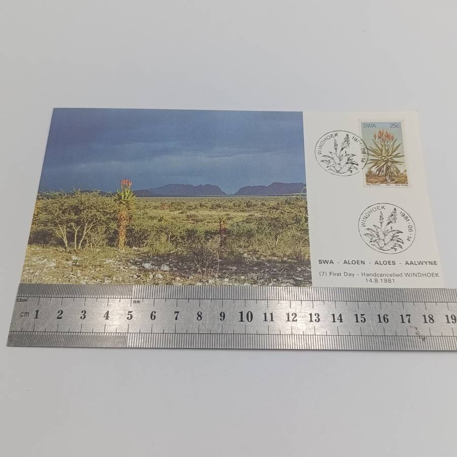 Lot of 4 SWA Aloes Maxi - cards 1981 First Day - Hand cancelled in Windhoek