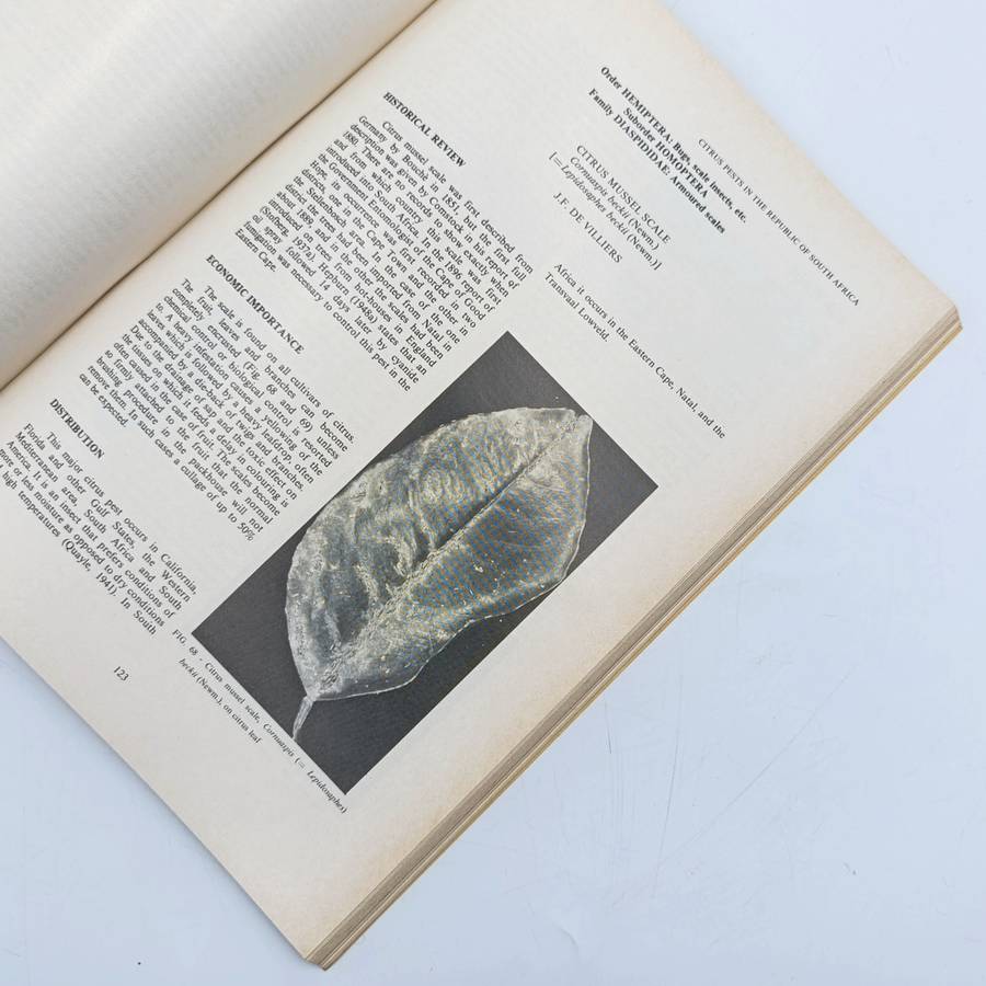 South Africa Science Bulletin 391 Citrus pests in South Africa - 1978