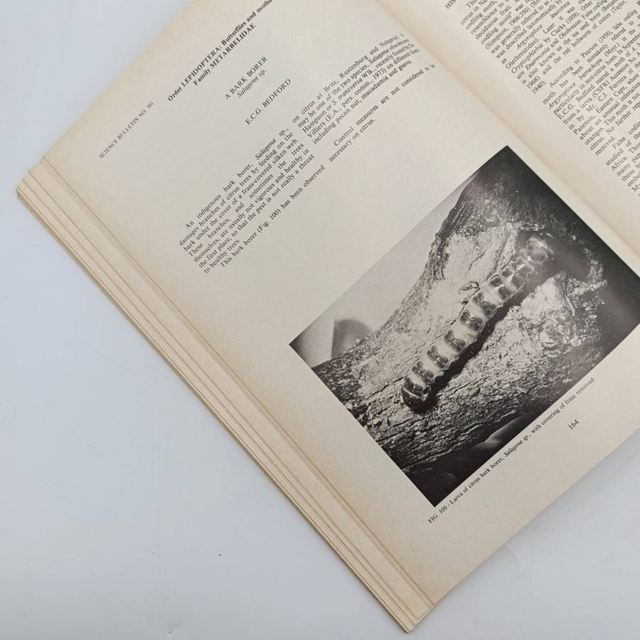 South Africa Science Bulletin 391 Citrus pests in South Africa - 1978