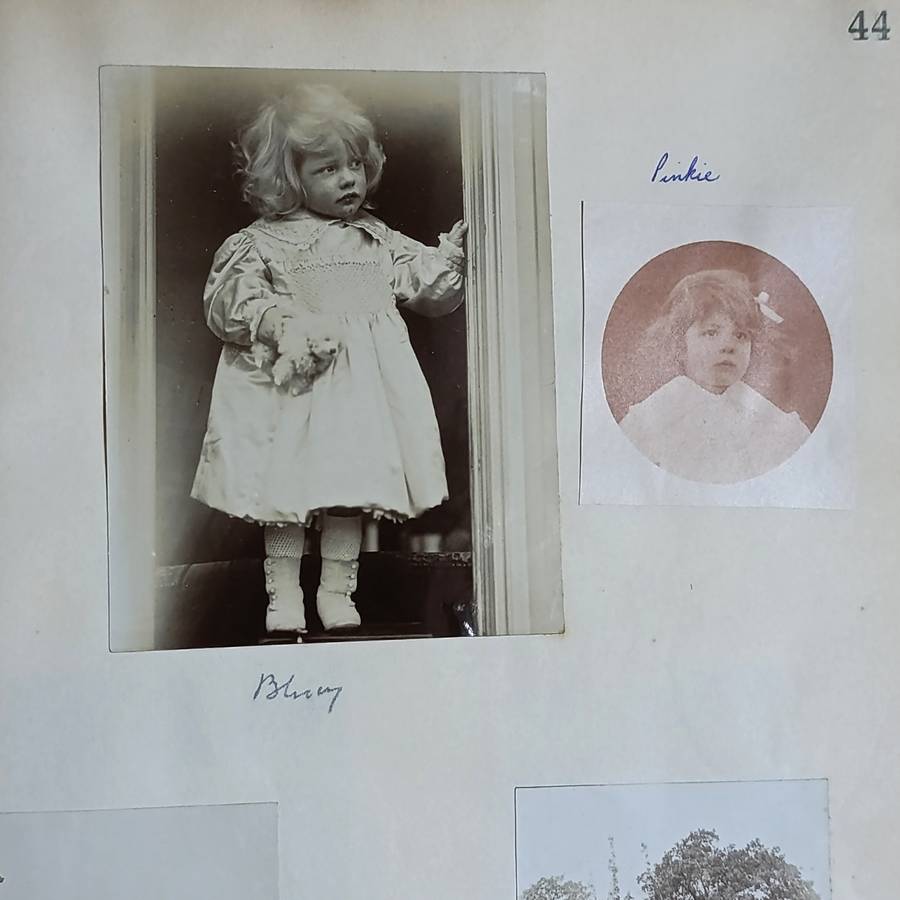 Photo album of the Wingrove family - Seaforth Dating from late 1800's and including photos up to WW2