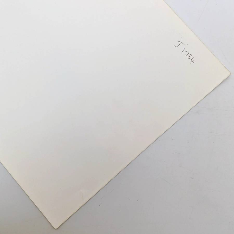 Antique photo reprint of horse cart next to Castle of Good Hope wall with Devils Peak in back