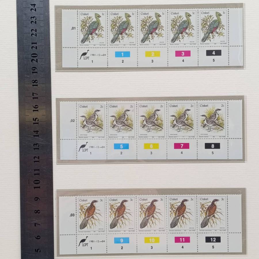 Lot of 2 Albums with over 600  Ciskei mint unhinged and used stamps on cover - 1981 and later