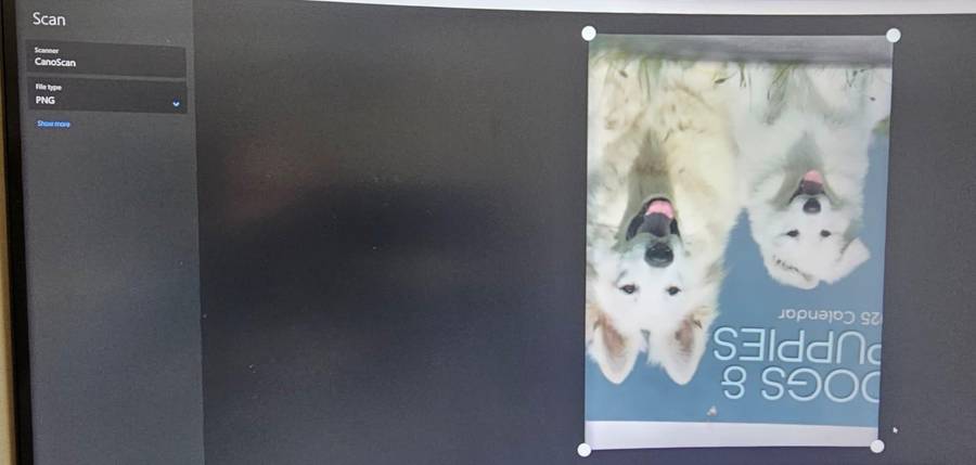 Canon CanoScan LiDE 110 Flatbed Scanner  Fully Working