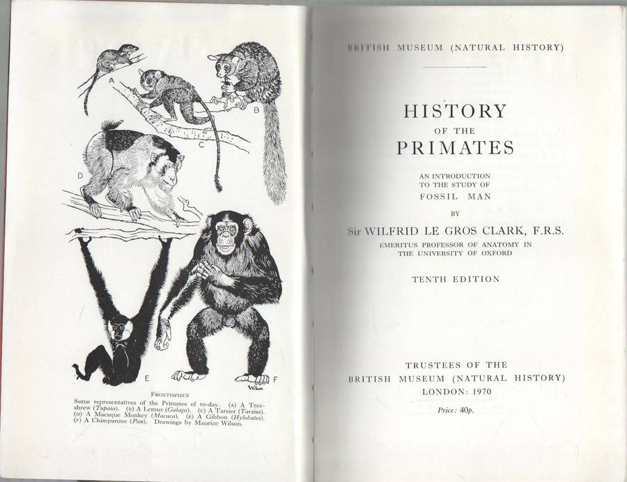 HISTORY OF THE PRIMATES - W E GROS CLARKE (10TH EDITION 1970)