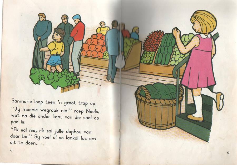 NEELS RAAK WEG - PRISMA (1 STE UITGAWE 1989)