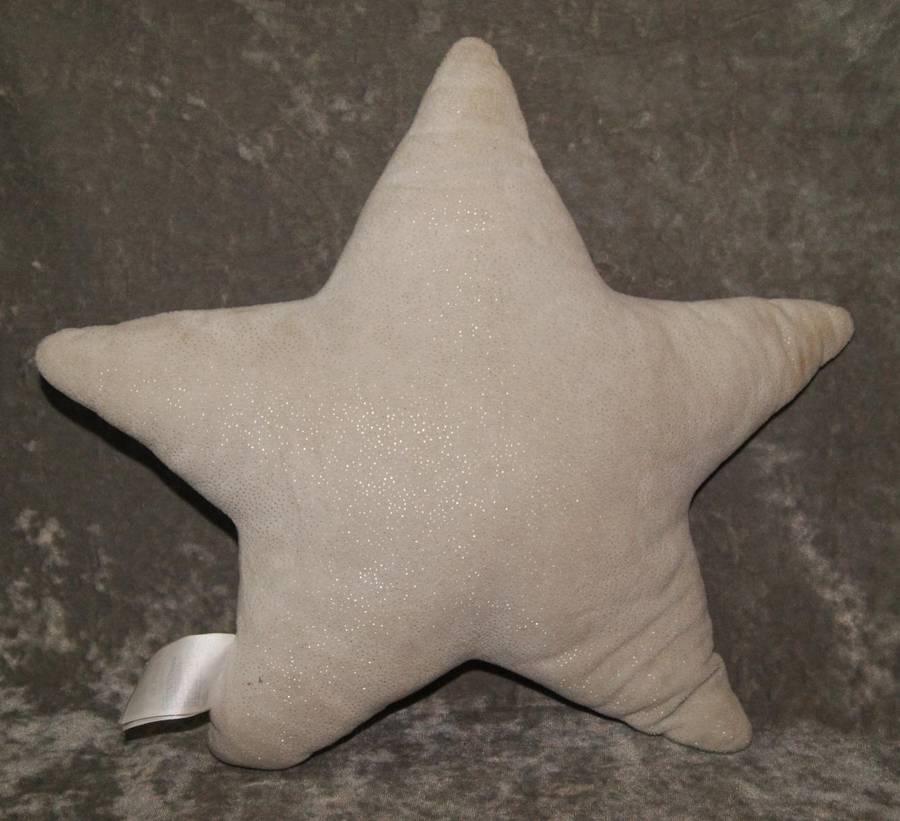 Plush star pillow @ Crazy R1 start