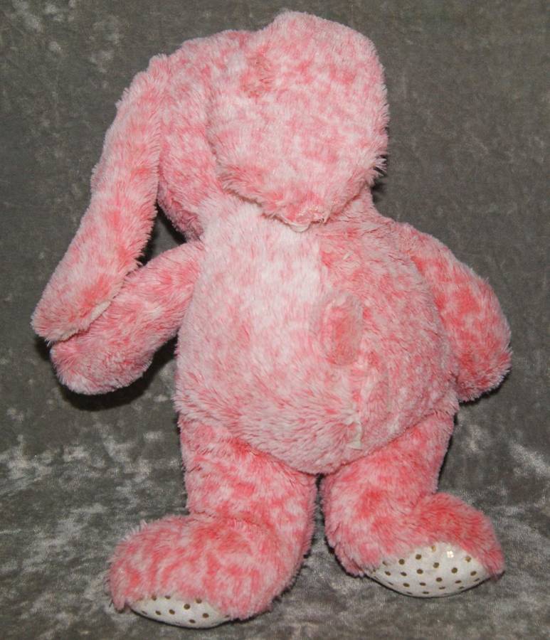 Plush pink bunny @ Crazy R1 start