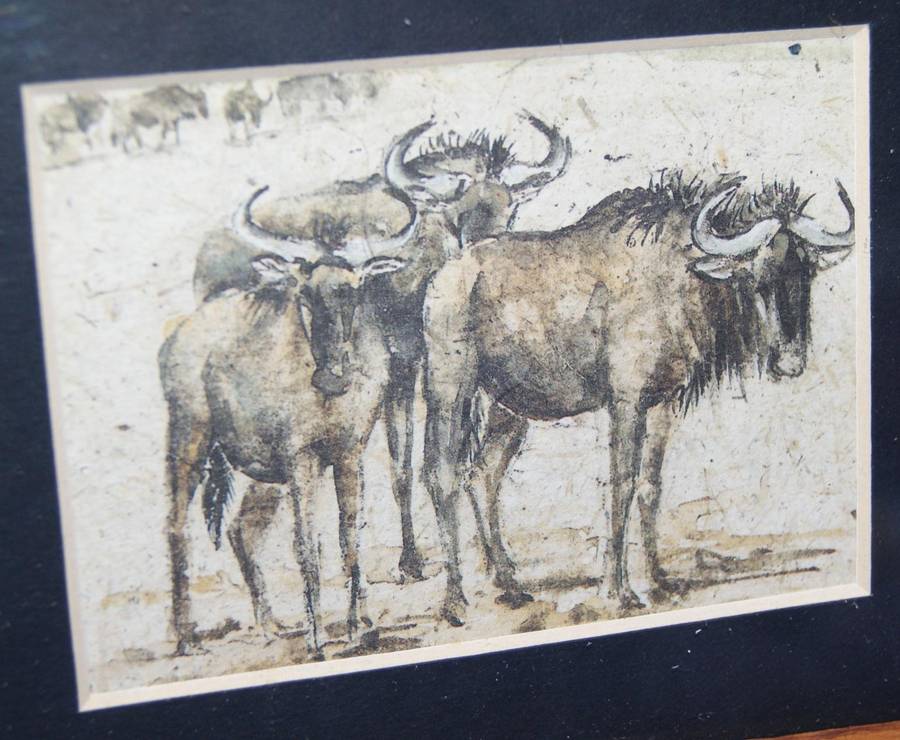 Vintage framed print of Wildebeest @ crazy R1 start