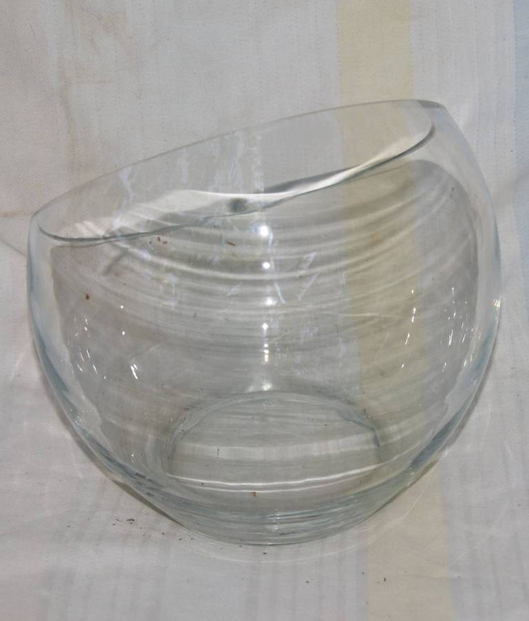 Glass Succulent Planter/ Rosebowl