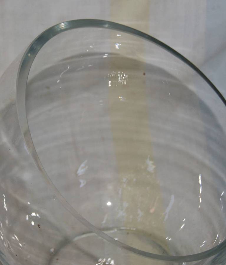 Glass Succulent Planter/ Rosebowl