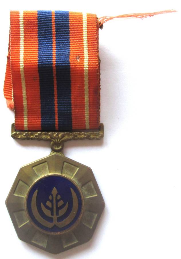 Pro Patria Medal Nr 173035